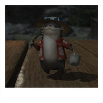 An Abroader Otter in his natural element, Fishing