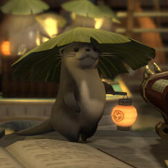 Bolívar Jangle, The Store's Mascot, and the owner's beloved traveling companion.